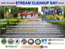 Stream Clean up Flyer