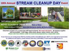 stream clean up flyer